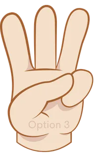 Integration option 3