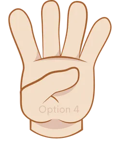 Integration option 4